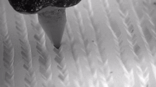 Electron microscope view of a stylus tracing a record groove